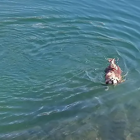 Ranzer Tatil Evi Spielberg Bei Knittelfeld