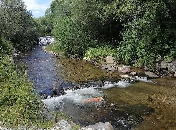 Ranzer بيت للعطل