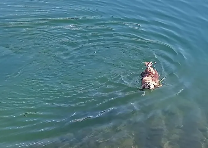 Ranzer بيت للعطل Spielberg Bei Knittelfeld